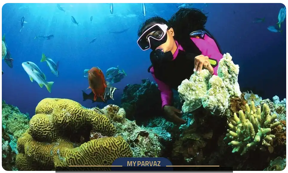 غواصی و اسنورکلینگ در آب های زلال سریلانکا